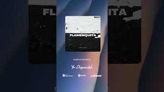 Flamenquita by Toni y Mane music [upl. by Simonne]