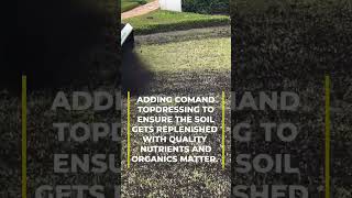 Applying topdressing making Zoysia beautiful turf viralvideo fun landscape [upl. by Ylrebmic742]