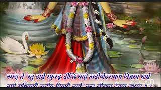 Bhagavad Gita 929  Bhakta Amit Kumar Prabhuji [upl. by Ahsaet]