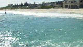 cottesloe beach from the mole in perth wa [upl. by Woll52]