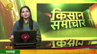 Watch latest news coverage on DD Kisans daily news bulletin Kisan Samachar Nov 22 2024 [upl. by Perrine474]