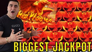 BIGGEST JACKPOT On YouTube For Red Phoenix Slot [upl. by Kcirdehs]