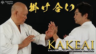 Splendid Kakeai Practice  Okinawan Karate Grand Master  Shorinryu Kenshikai  Ageshio Japan [upl. by Twum479]