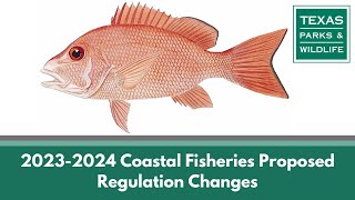 Public Hearing  Proposed Statewide Saltwater Fishing Regulation Changes 20232024 [upl. by Faunie]