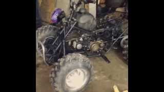 HONDA TRX90  125cc 4SPD LIFAN PITBIKE ENGINE SWAP [upl. by Ecidna86]