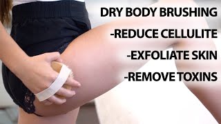 Dry Body Brushing Tutorial  How To Reduce Cellulite [upl. by Nitsugua248]