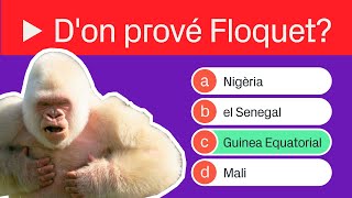 10 PREGUNTES sobre FLOQUET DE NEU  betevé quiz [upl. by Leanne]