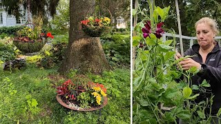 My FIRST hanging baskets  garden jobs [upl. by Ash]