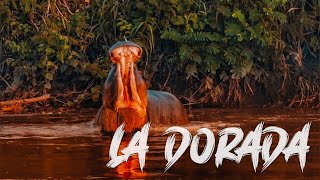 Turismo y naturaleza en el corazón de Colombia [upl. by Taima]