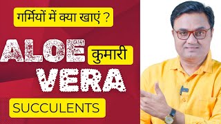 ALOE VERA घृतकुमारी benefits ।। गर्मियों में क्या खाएं Succulents C3 C4 plants OMNIVORES [upl. by Krishnah]