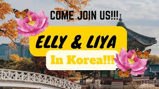 The weird adventure with Elly and Liya in KoREa [upl. by Klotz]