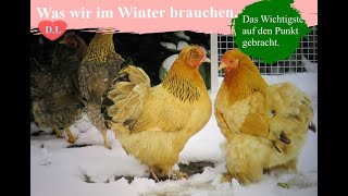 Was Hühner im Winter brauchenInfo [upl. by Ansaev]