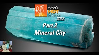 Whats Hot In Tucson 2022  Part 2  Mineral City [upl. by Sawyere]