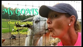 Meet My GOATS Our Changing Routine amp MoreA Collab [upl. by Anade]