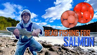 October Salmon Fishing at Niagara Whirlpool  Utilizing Beads [upl. by Nirual]