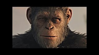 Caesars Death  Ending Scene  War for the Planet of the Apes 2017LOWI [upl. by Oinotnaesoj]