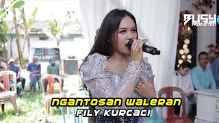 Ngantosan waleran  Fily Kurcaci Live padasuka sumedang [upl. by Garreth590]