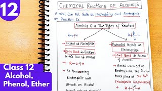 12 Chemical reactions of Alcohol Types of Bond cleavage in Alcohol Class12 Organic neet jee [upl. by Litsyrk]