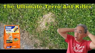 The Ultimate Terro Ant Killer  Tried And Tested [upl. by Longawa]