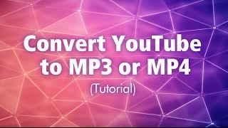 Convert YouTube to MP3 or MP4 Tutorial  AmoyShare Total Media Solution [upl. by Nirehs]