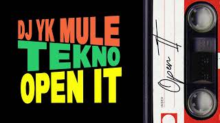 DJ YK Mule x Tekno  Open It [upl. by Tearle]