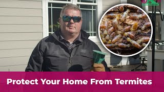 Protect your home from termites with Killingsworth Environmental [upl. by Petit]