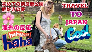 海外の反応 笑いが止まらない：奈良鹿公園の外国人観光客  nara deer  奈良公園 鹿  奈良公園 鹿  奈良の鹿  外国人観光客  Asmr  deer park vlog [upl. by Yrrem843]