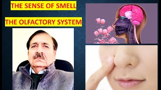 The sense of smell The olfactory system Lectures by Dr Alamzeb [upl. by Dowdell732]