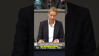 Alice Weidel Verfassungskrise  Wenn Realität und Buchstabe auseinanderfallen [upl. by Tnemelc520]