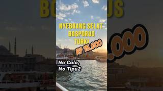 Cara Nyebrang Selat Bosporus Turki MURAH dan MUDAH dengan Kapal shorts travelturkey backpacker [upl. by Tsan]