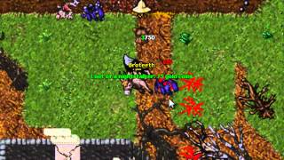 Tibia Hunt Episode 14  Yalahar Zombies [upl. by Nerraf]