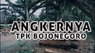 TPK BOJONEGORO VIRAL MISTER TUKUL JALAN2 [upl. by Yleme346]