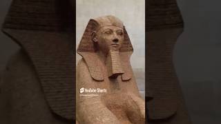 Ancient Egyptian Artifacts REVEALED ancientegypt travel history newyorkcity egypt egypt [upl. by Old255]