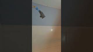 MOEN Magnetix 🧲 showerhead install plumber diy handyman howto shorts water construction [upl. by Moth]