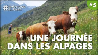 Une journée dans une ferme dalpage de SaintGervais MontBlanc [upl. by Von]