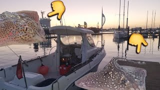 How to UPTIDE successfully in BIG TIDES  UK Boat fishing spottedray quicksilver630 [upl. by Ferino728]