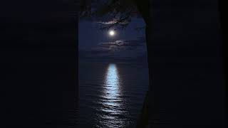 Moonbeams on the Water A Soothing River Side Evening RiverSideCalm MoonlightReflectionsubscribe [upl. by Diaz]