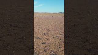 Desierto Florido fpvporelmundo aerialphotography dji desert [upl. by Eikin]