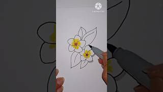 How to draw Plumeria flower Easy Plumeria art drawing shorts [upl. by Stouffer144]