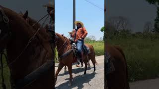 Vamos a seguir cabalgando por Tabasco [upl. by Haroppiz]