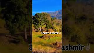 Jammu Kashmir ⛰️🌋virle vidoe mountain Manali sad song 🥺 [upl. by Emad]