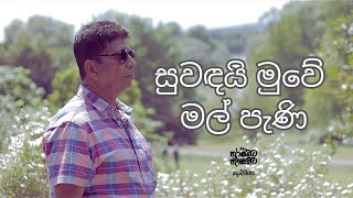 Suwandai Muwe Mal Pani  සුවඳයි මුවේ මල් පැණි   Sumith Ahangama Frank Silva Cover [upl. by Alexei486]