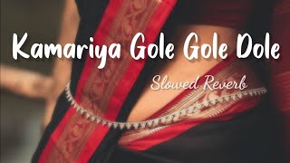 Kamariya Dole👀 slowed reverb   kamriya gole gole dole Raj ji lofi song [upl. by Hendon987]