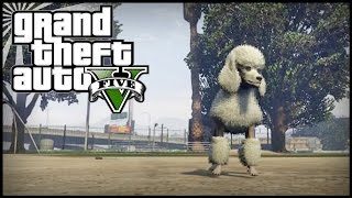 GTA 5 Next Gen  TWO Peyote Plant Locations 02 and 03  Peyote Plants Guide 327 Peyote Plants [upl. by Madelina]