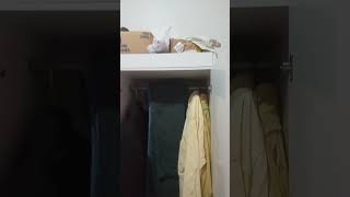 OLHA O MEU CLOSET [upl. by Aelahs383]