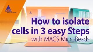 How to Count Bacterial Cells Like a Pro Hemocytometer Edition 🔬🧫 BacteriaCounting microbiology [upl. by Jolyn]