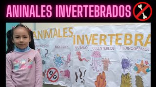 Clasificación de ANIMALES INVERTEBRADOS para niños [upl. by Malchus]