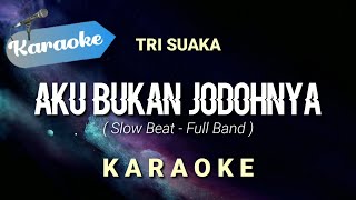 Karaoke Trisuaka  Aku bukan jodohnya  Karaoke [upl. by Mungovan356]