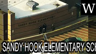 SANDY HOOK ELEMENTARY SCHOOL shooting  Documentary [upl. by Verneuil]