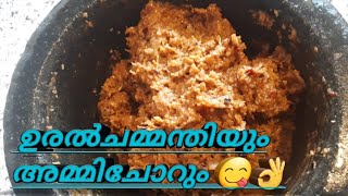 how to make coconutchatnithangachamandhiതേങ്ങചമ്മന്തിnatural kitchenmalayalamLondon [upl. by Adnolehs]